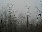 Ködös panoráma