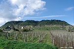 A Somló-hegy