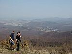 Sasvári Panoráma