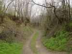 Mélyút Nyúlon