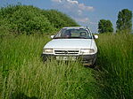 very drive-in