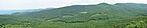 Panoráma