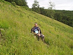 A láda