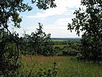 Kilátás