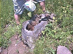 rejtek