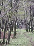 A madarászok házában