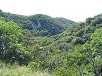 A szurdok