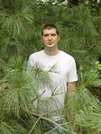 Hosszútűs ágak közt
