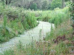 A Csipkai-tó
