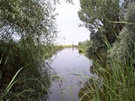 A holtág
