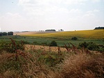 Tetszett a kilátás