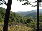 Kilátás