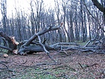 Jégkár