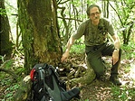 Hodvár bontás
