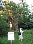 A táblával