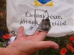 A geobogrács nevű potyautas