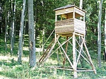 Az új vadászles