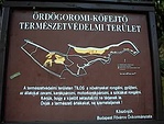 Térkép