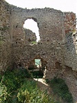 Omladozó falak