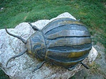 Krumplibogárszobor