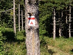 Jelzések