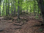 Visszamászás 1