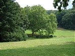A kastély-park