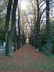 Temetői hangulat