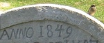 madárka víg madárka