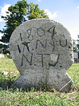 it. nyu. n.t.j.