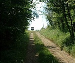 Vadászles