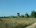 vadászles az odavezető úton