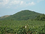 Kis-erdő hegy