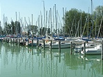 Arbocerdö