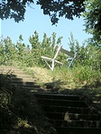 Kilátás padra