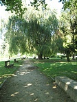 Látvány - fasorbol