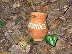 A geoköcsög