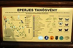 tábla