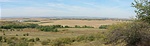 Panoráma