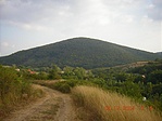 A szentgáli tiszafás