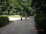 Kereszteződés