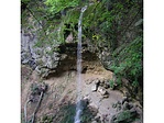 Forrás