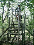 Szerepcsere