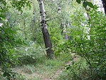 A sziget belseje