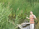 Balázs a mocsárban