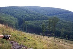 Kilátás