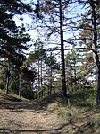 A környék
