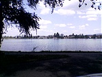Tav