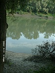 Menetközben megcsillant az "élő" Tisza is