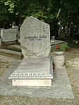 Dr. Csanády Árpád